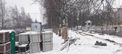 "Дерево дружбы", снесенное ради другого памятника в Петрозаводске, не восстановили в установленные сроки (ФОТО)