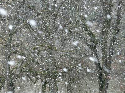 МЧС: на север Ростовской области в ближайшие часы обрушится сильный снегопад
