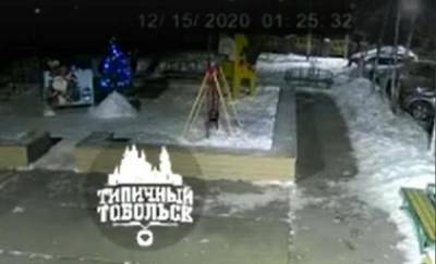 В Тобольске мужчина украл новогоднюю елку у детей