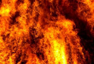 При пожаре в Гатчинском районе погиб человек