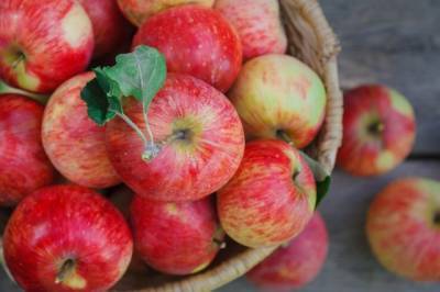 Ученые выяснили, как употребление яблок защищает от COVID-19