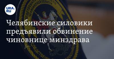 Челябинские силовики предъявили обвинение чиновнице минздрава