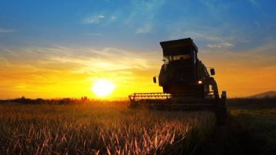 Жатва в Украине завершена: на сколько урожай-2020 меньше прошлогоднего