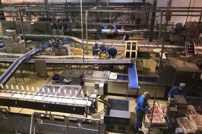 Завод по переработке утки возобновил работу в Миллеровском районе Ростовской области