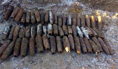 Поисковики нашли в лесу 40 снарядов времен войны