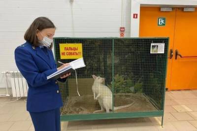 Прокуратура выявила нарушения в двух зоопарках Архангельска