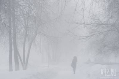 Кузбассовцев предупредили о резком потеплении и метелях