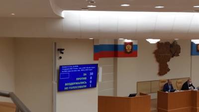 Депутаты ЗСО приняли доходную часть бюджета Ульяновской области на 2021 год