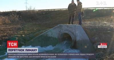 Под Одессой спасают обмелевший Куяльницкий лиман: видео