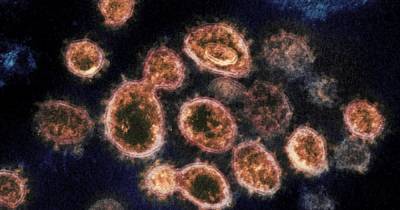 Новый штамм коронавируса в Британии: что о нем известно и как это повлияет на вакцины
