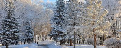 Синоптики составили прогноз погоды для России на январь