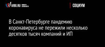 В Санкт-Петербурге пандемию коронавируса не пережили несколько десятков тысяч компаний и ИП