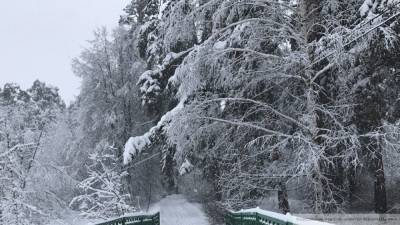 Прогнозы погоды на январь составили специалисты Гидрометцентра РФ