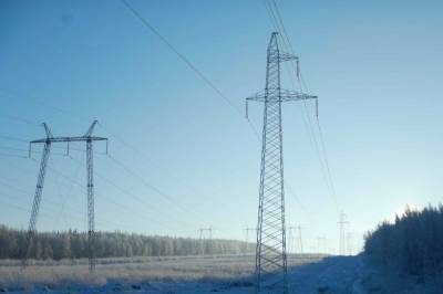 В Черниговской области ветер обесточил более сотни населенных пунктов
