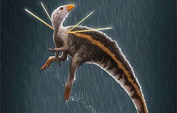 Ученые обнаружили новый вид динозавров с длинными шипами на плечах