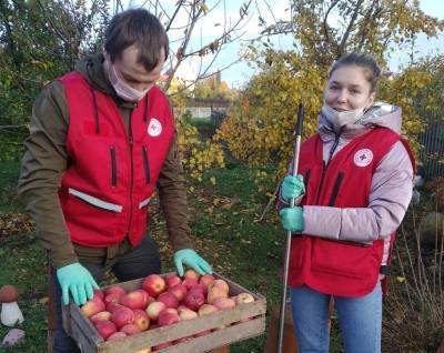 Почти 700 волонтеров, больше 1000 доставок и около 6 тонн овощей и фруктов. Красный Крест подвел итоги благотворительной кампании «Ваша дапамога»