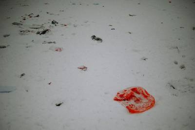 В Астраханской области насмерть замерзла девушка