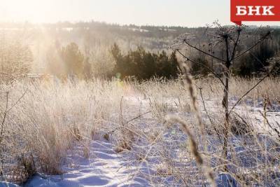 Гидрометцентр предупредил о сильных морозах в Коми в январе