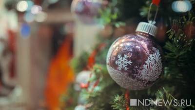 В мэрии решается вопрос о закрытии главных елок в новогоднюю ночь