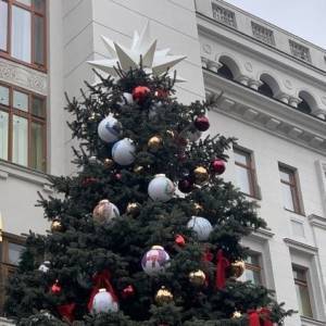 В Киеве возле Офиса президента украсили елку. Фото
