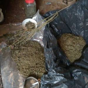 У жителя Запорожской области изъяли килограмм наркотиков. Фото