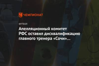 Апелляционный комитет РФС оставил дисквалификацию главного тренера «Сочи» Федотова в силе