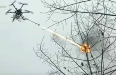 В Китае на борьбу с осами отправили дрона с огнеметом (ВИДЕО)