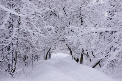 В январе Тверскую область может завалить снегом