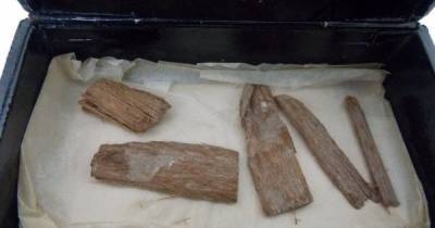Утерянный египетский артефакт случайно нашелся в коробке из-под сигар