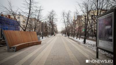Свердловский оперштаб назвал фейком слухи о готовящемся локдауне на Новый год