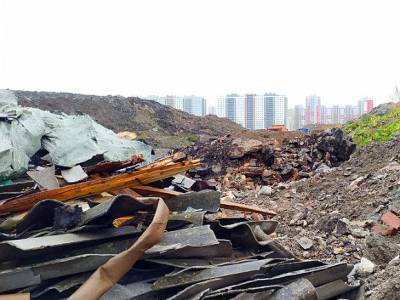Уральцы призывают не допустить строительства мусорного завода и свалки