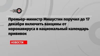 Премьер-министр Мишустин поручил до 17 декабря включить вакцины от коронавируса в национальный календарь прививок