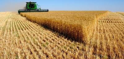 Урожай зерна на Украине стал самым бедным за последние годы