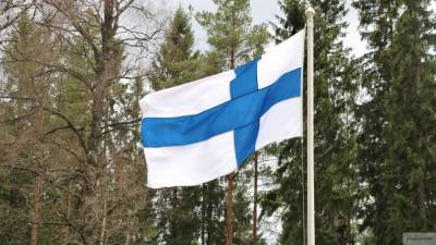 Глава МИД Финляндии рассчитывает на скорый визит в Россию