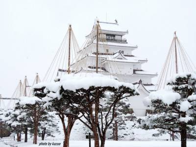 Японию засыпало снегом: отменены полсотни авиарейсов – фото сугробов