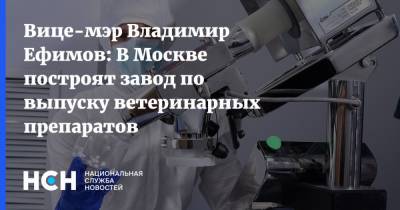 Вице-мэр Владимир Ефимов: В Москве построят завод по выпуску ветеринарных препаратов