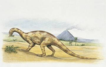 Ученые: Бристольский динозавр ел мясо и ходил на двух ногах