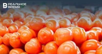 Россельхознадзор частично снимает запрет на поставку томатов из Азербайджана