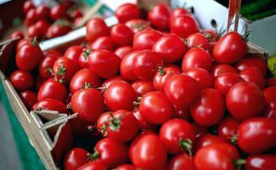 Турки, ожидавшие разрешения на ввоз помидоров в Россию, получили еще и запрет на импорт перца