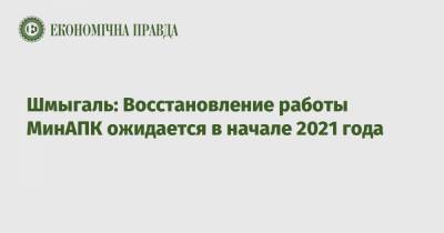 Шмыгаль: Восстановление работы МинАПК ожидается в начале 2021 года