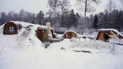 Дома хоббитов и Шрека построили в лесу в Кировской области.