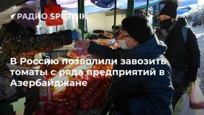 В Россию позволили завозить томаты с ряда предприятий в Азербайджане