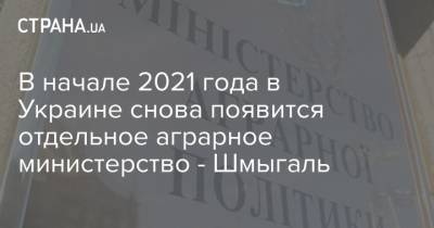 В начале 2021 года в Украине снова появится отдельное аграрное министерство - Шмыгаль