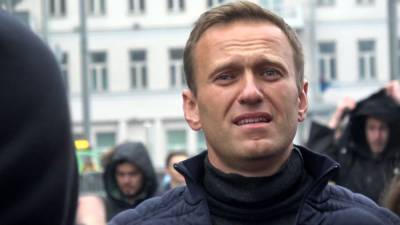 В Петербурге депутаты требуют проверить расследование Навального