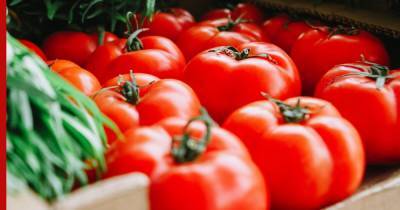 Ввозить томаты в Россию из Азербайджана смогут еще 4 предприятия