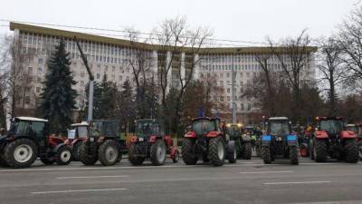Молдавские фермеры дожидаются, пока парламент разберётся с правительством
