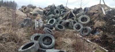 Власти Петрозаводска просят не бросать шины на контейнерных площадках