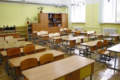 В петербургской школа сразу 20 учителей ушли на больничный