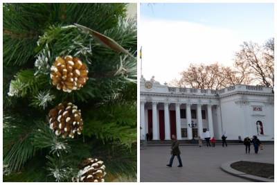 "Лучше ведьмовской шляпы": в Одессе установили елку с нестандартной верхушкой, фото