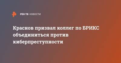 Краснов призвал коллег по БРИКС объединиться против киберпреступности